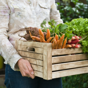 oregon-retirement-fresh-produce