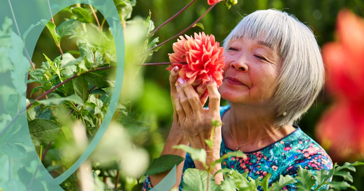 7 Stages of Dementia