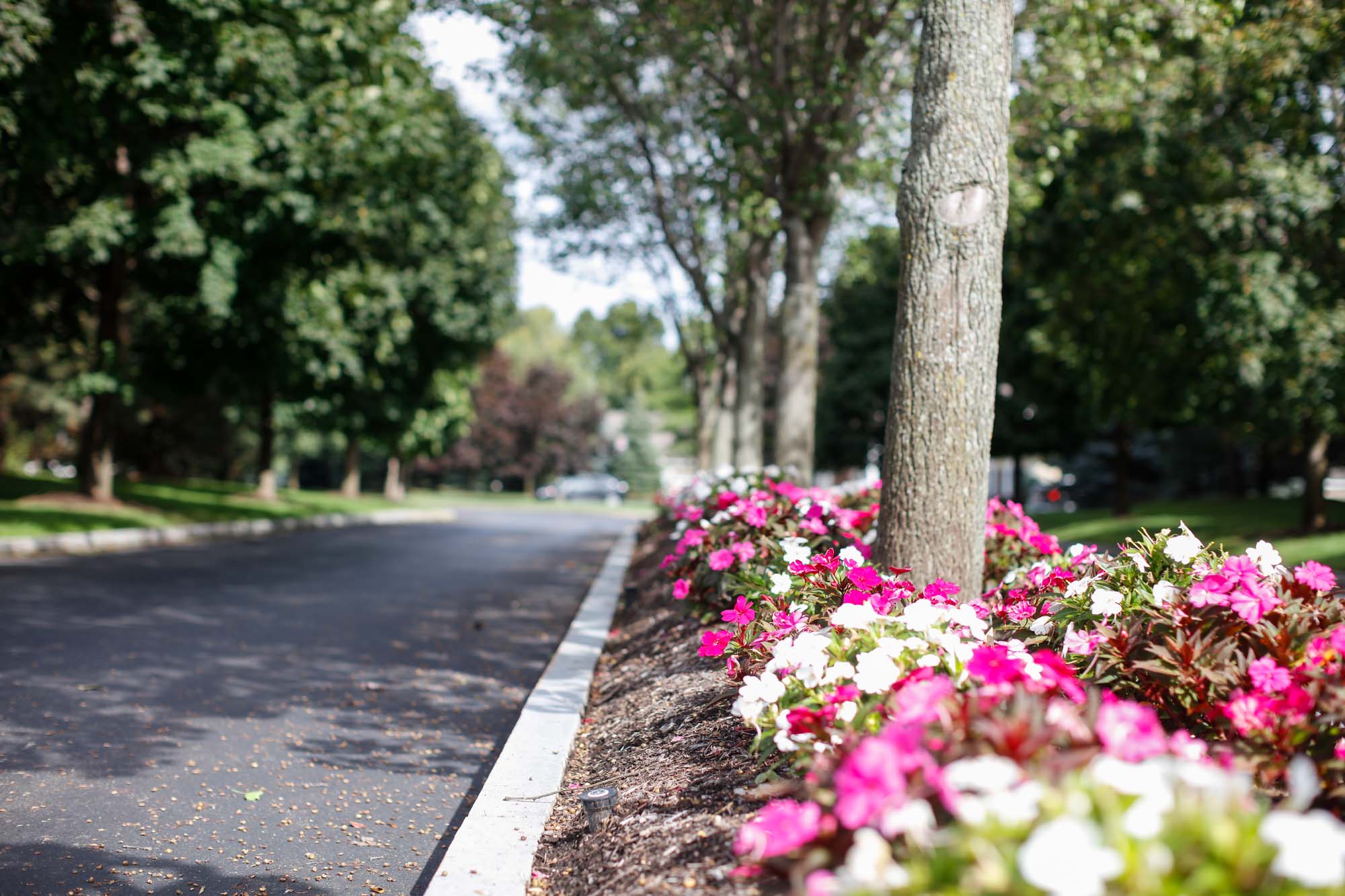 Mill Landing Townhomes Flowers