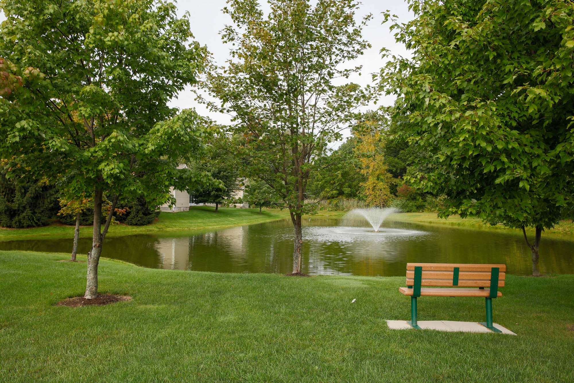 Pond at The Townhomes at Mill Landing