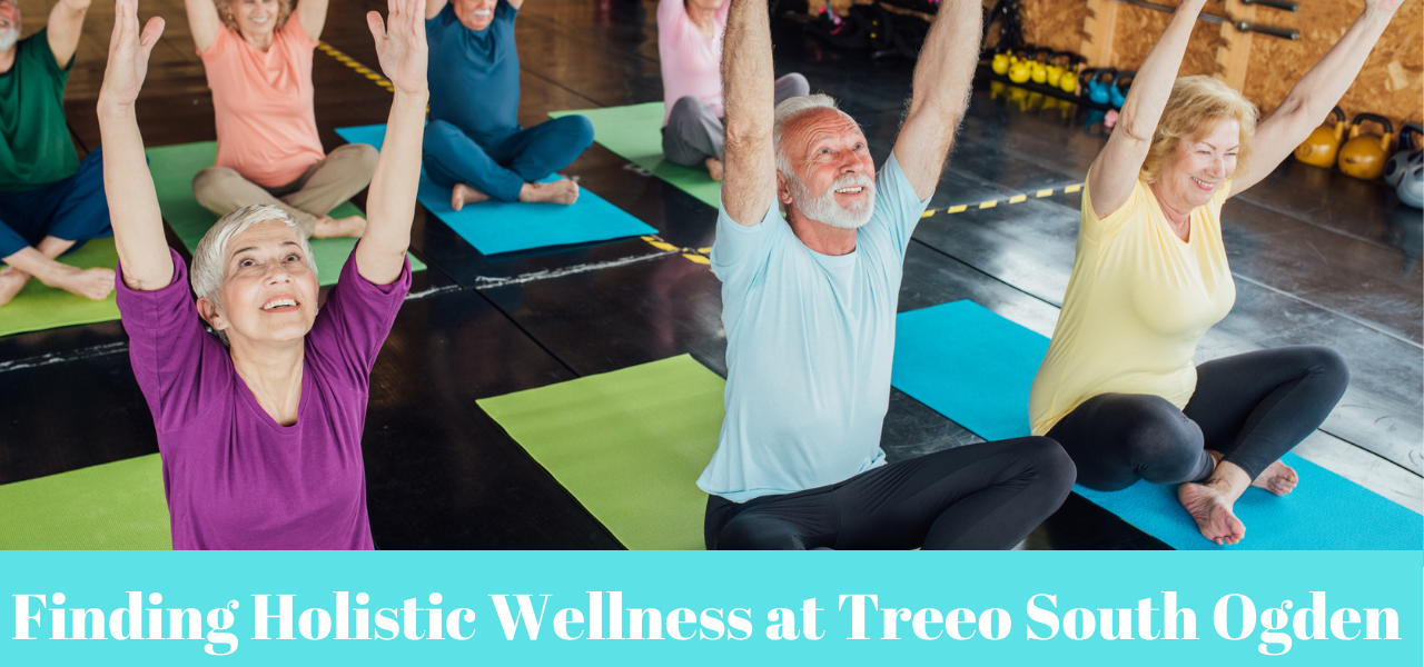 Treeo South Ogden PrimeFit Wellness