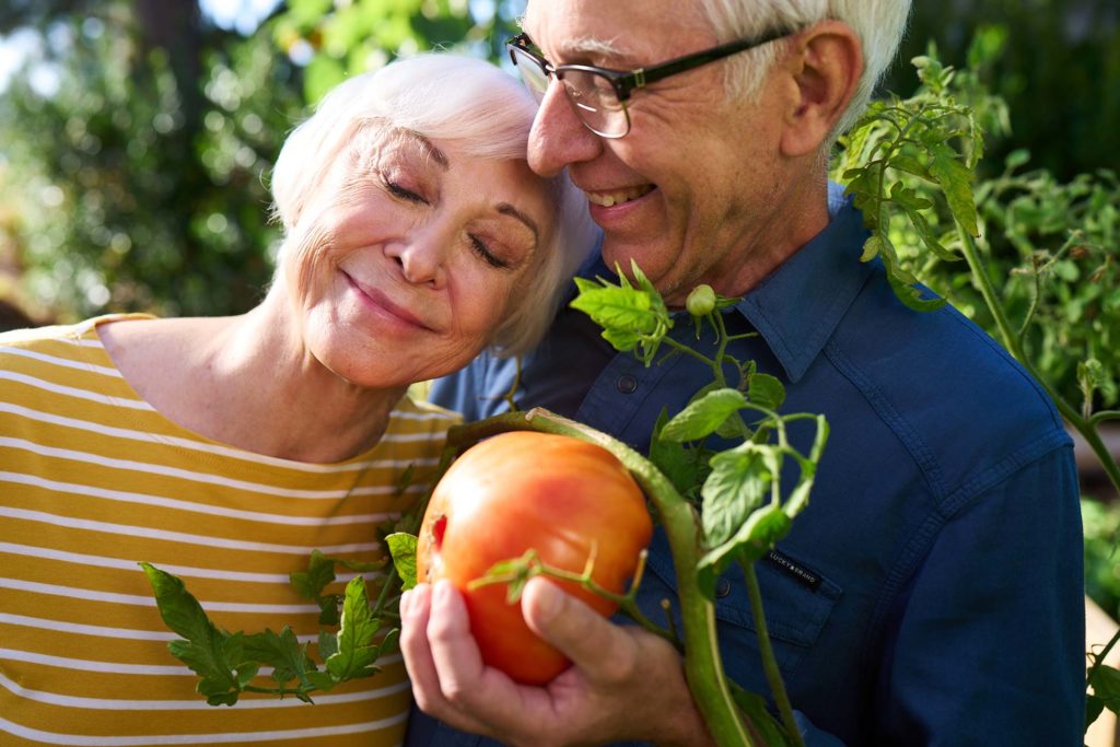 Man and woman in garden with tomato