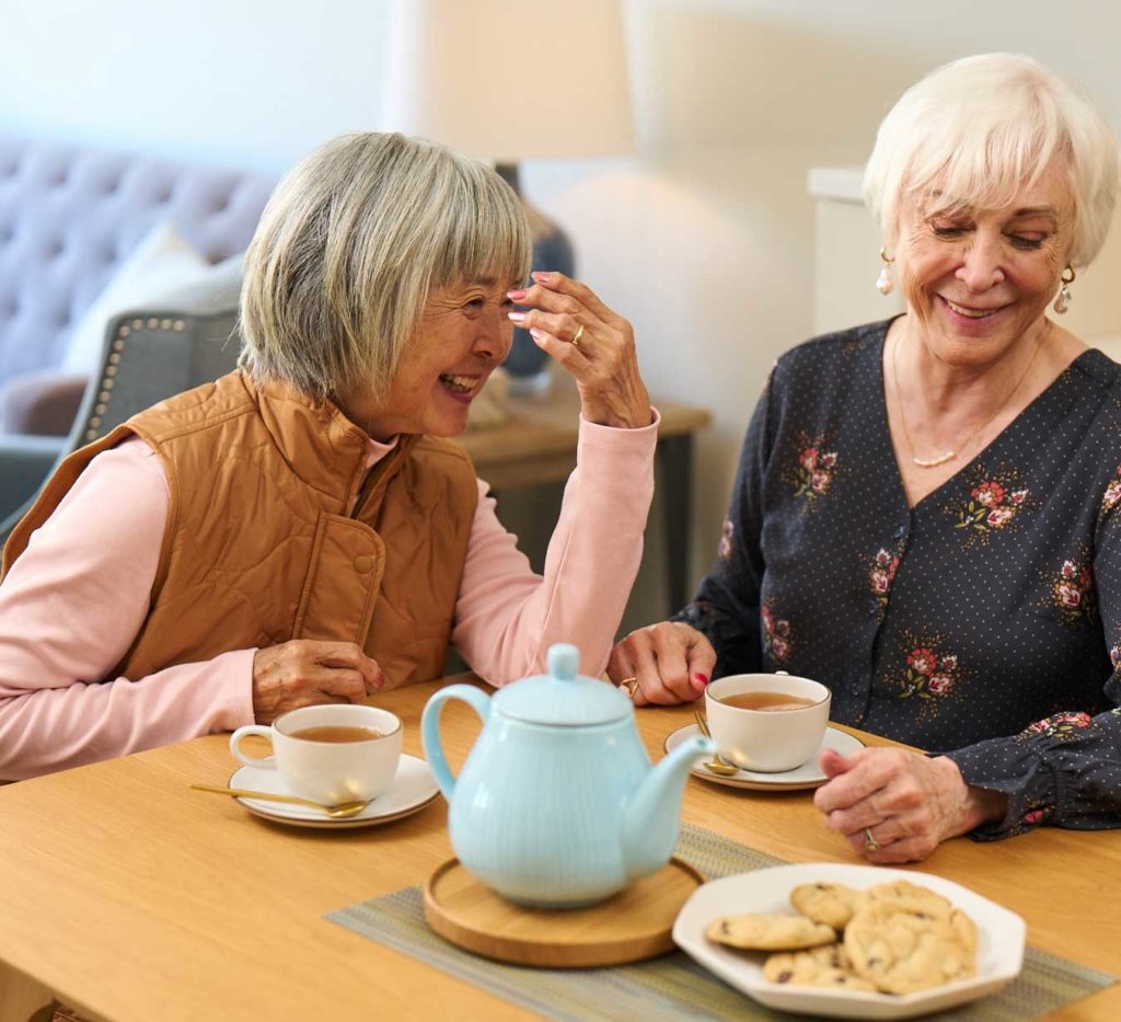 Two senior women communicate while drinking tea