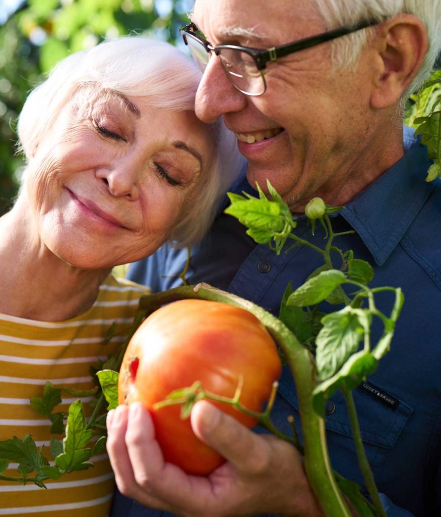 Couple in garden